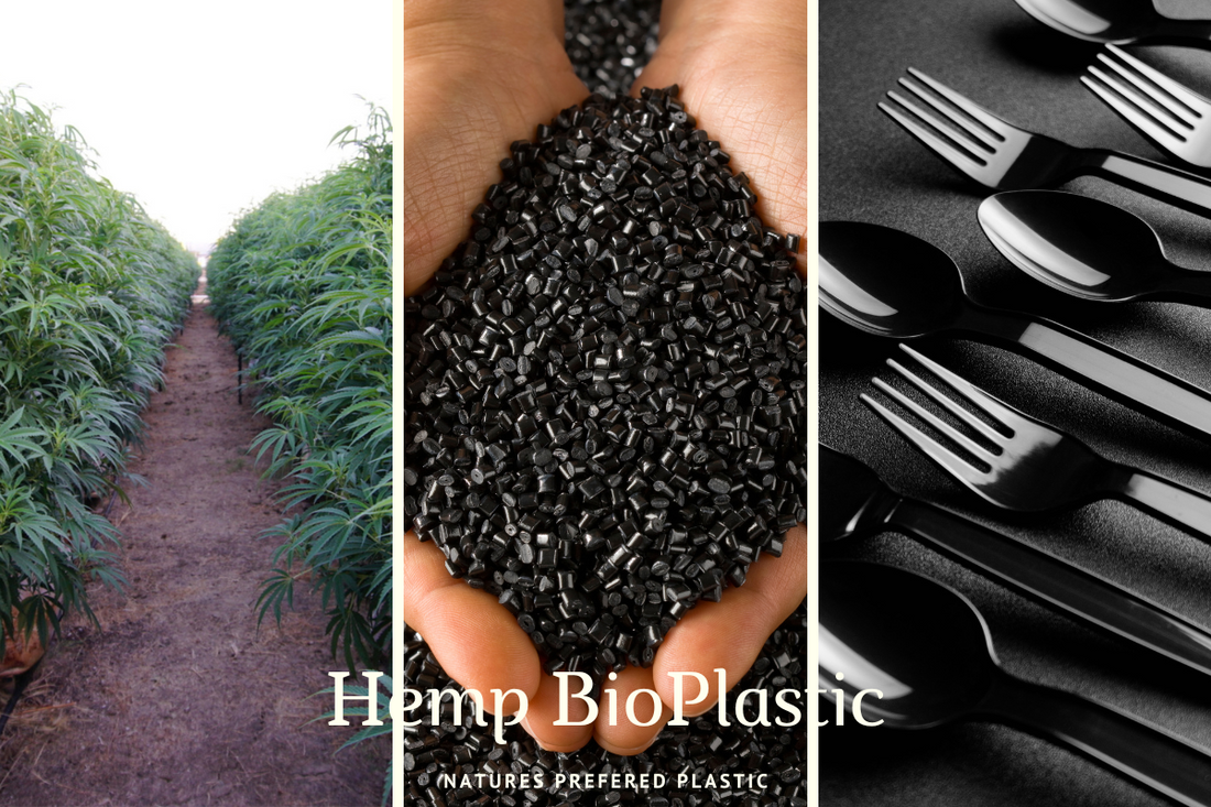 Hemp Beyond Consumption: Bioplastic