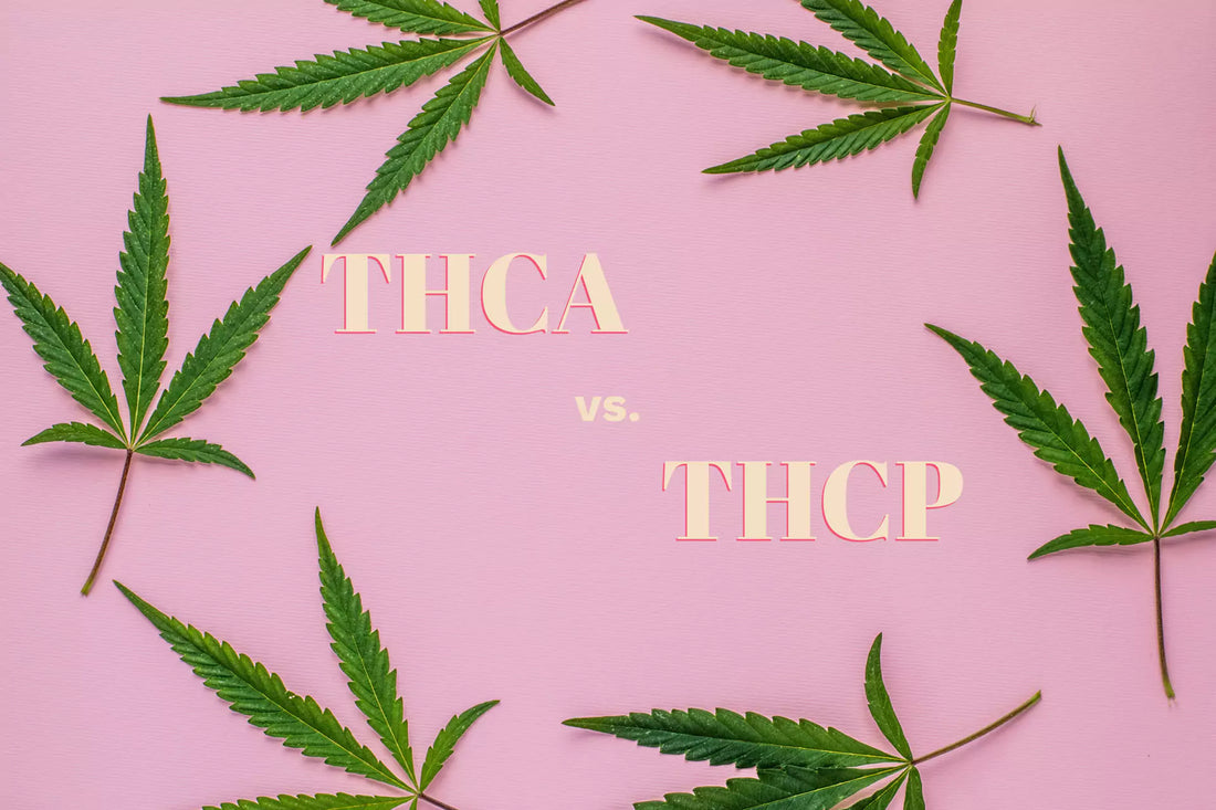 What Is The Difference Between THCA And THCP?